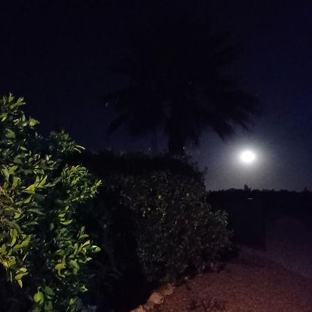 La Buganvilla, Descanso Entre Olivares Hornachuelos Luaran gambar