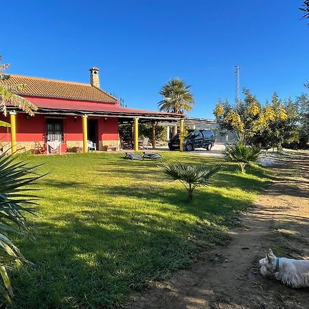 La Buganvilla, Descanso Entre Olivares Hornachuelos Luaran gambar