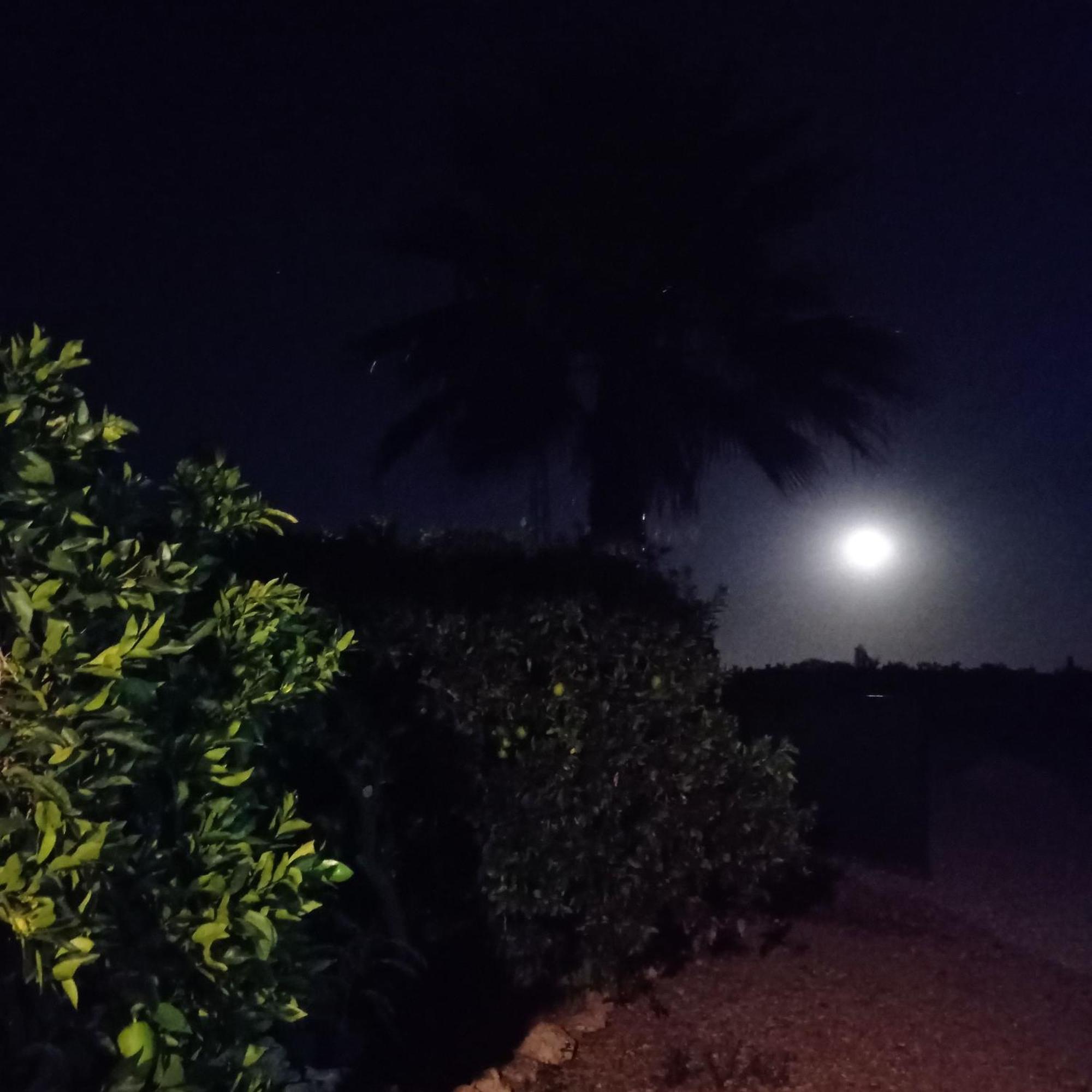 La Buganvilla, Descanso Entre Olivares Hornachuelos Luaran gambar