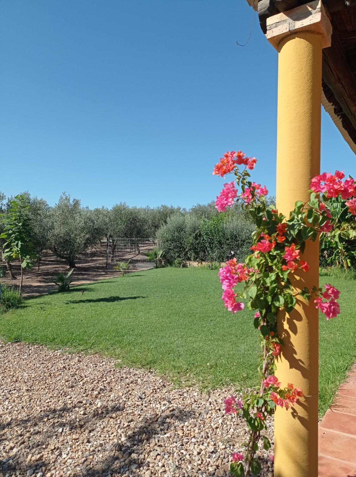 La Buganvilla, Descanso Entre Olivares Hornachuelos Luaran gambar